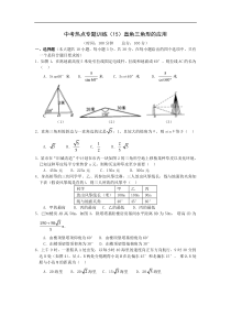 2010中考热点专题训练 直角三角形的应用li