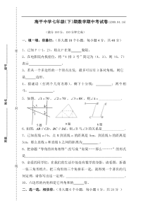 东宅中学2009年春季七年级下数学期中试卷B