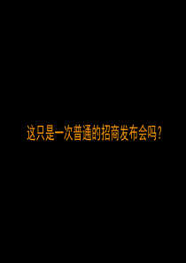 XXXX年华润中心万象城招商发布会策划方案