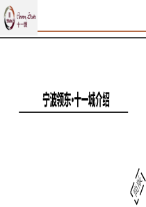 XXXX年宁波领东十城招商手册(37页)