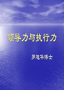 企业培训___领导力与执行力