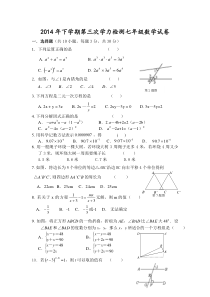 七年级数学下册第三次月考检测卷及答案