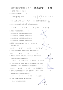 七年级数学下册期末复习题及答案B卷