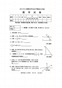 七年级下册数学期末试卷