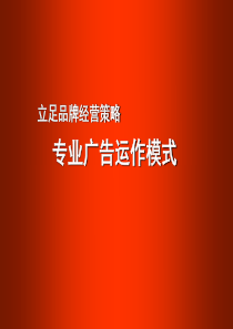 专业广告运作模式