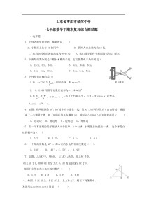 山东枣庄城郊中学2009七年级下期末复习综合测试试卷一--数学