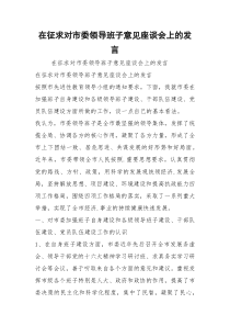 在征求对市委领导班子意见座谈会上的发言