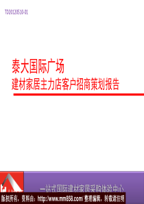 XXXX年泰大国际广场建材家居主力店客户招商策划报告(39