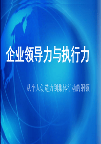 企业领导力与执行力