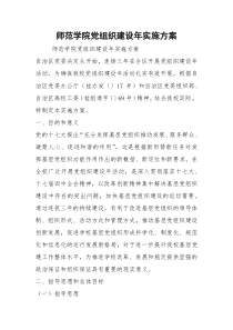 师范学院党组织建设年实施方案