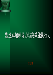 余世维经典讲义塑造卓越领导力和高效能执行力