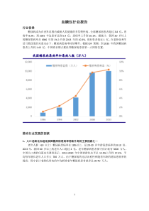 血糖仪行业报告