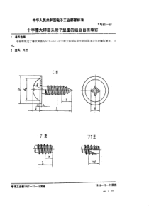 SJ 2838-1987 电视接收机用紧固件  十字槽大球面头带平垫圈的组合自攻螺钉