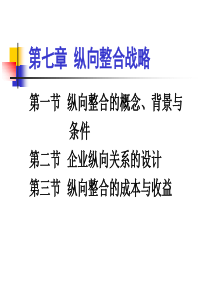 07纵向整合战略