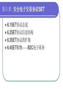 第六章-安全电子交易协议