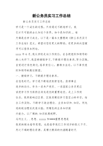 新公务员实习工作总结