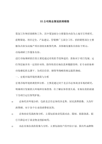 XX公司商业策划招商销售