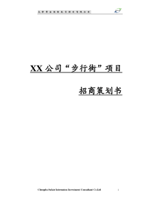 XX项目招商策划书