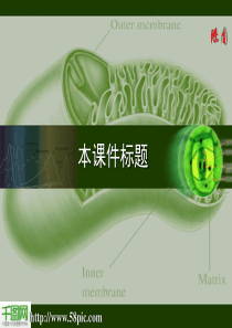 新陈代谢-中学生物PPT课件