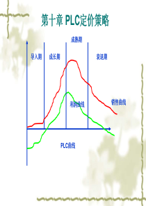 10 第十章 PLC定价策略