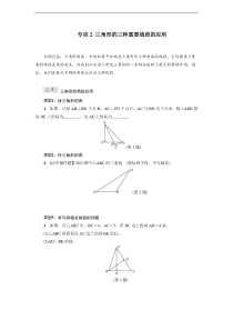 专训2 三角形的三种重要线段的应用