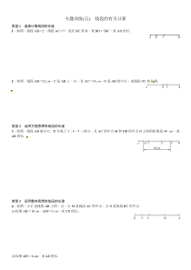 专题训练(五)　线段的有关计算