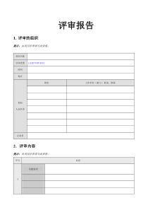 评审报告