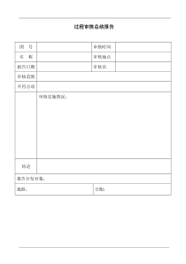 过程审核总结报告