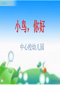 幼儿园中班《小鸟你好》公开课课件