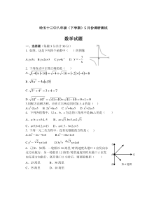 哈五十三中八年级（下学期）5月调研测试（启用）（word版）