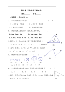 遵义市十一中《三角形》检测试题