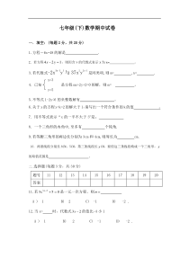 七年级数学下册期中考试试题4