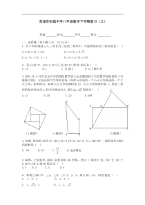 芜湖市张镇中学新人教版八年级下复习试卷（三）及答案