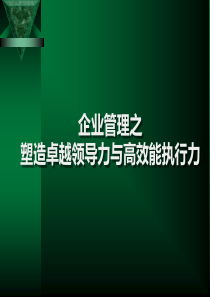 塑造卓越领导力与高效能执行力-经典版