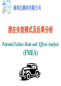 (DP)潜在失效模式及后果分析(FMEA)