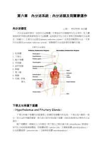 内分泌系统内分泌腺及荷尔蒙运作