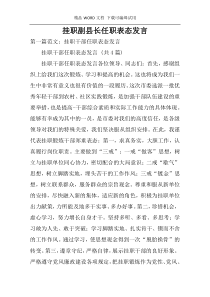 挂职副县长任职表态发言