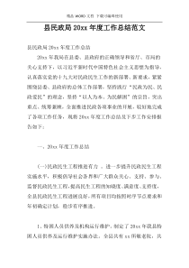 县民政局20xx年度工作总结范文