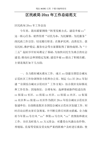 区民政局20xx年工作总结范文