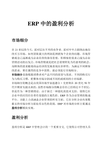 ERP中的盈利分析