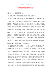 网络舆情调研报告