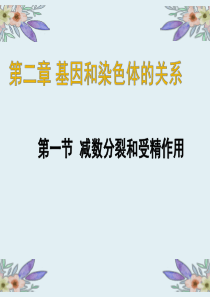 减数分裂和受精作用【新教材】人教版高中生物必修二教学课件