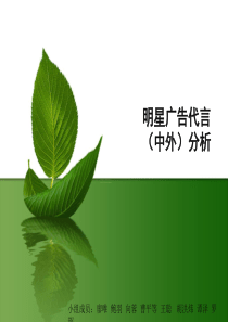 明星代言广告分析