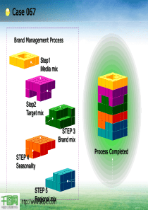 品牌管理过程分析PPT模板