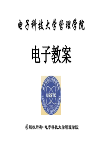 管理经济学(电子科技大学管理学院)