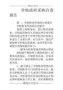 学校政府采购自查报告