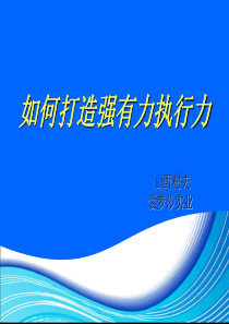 如何打造强有力执行力培训(山野村夫)