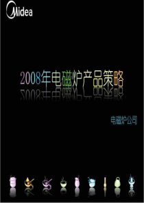 207页pdf,美的电磁炉策略（最终版）