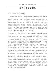 爱心公益活动感想