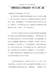 《钢铁是怎么样炼成的》学习心得二篇